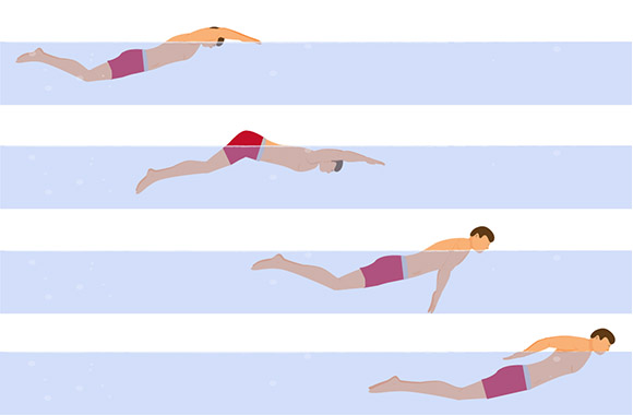 Swimming techniques: learn butterfly stroke movement sequences. Swimming techniques: learn butterfly stroke movement sequences.