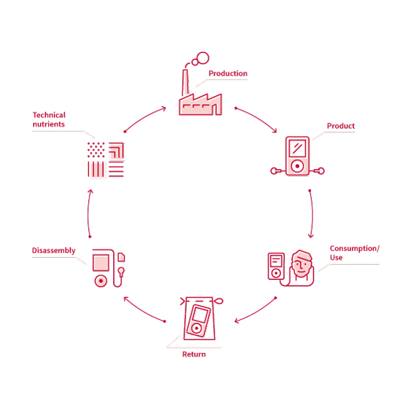 The technical cycle.