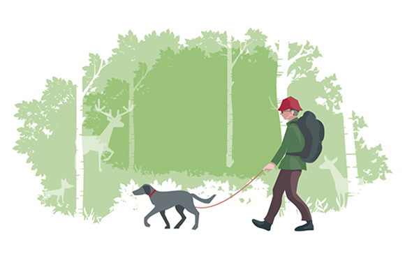 Verhalten im Wald – Hundehalter führt seinen Hund an der Leine. Verhalten im Wald – Hundehalter führt seinen Hund an der Leine.