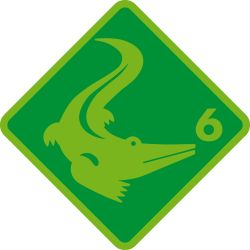 GLT 6 - Grundlagentest Krokodil