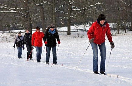 Langlaufers op de Veluwe. Langlaufers op de Veluwe.