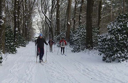 Groep langlaufers in de sneeuw. Groep langlaufers in de sneeuw.