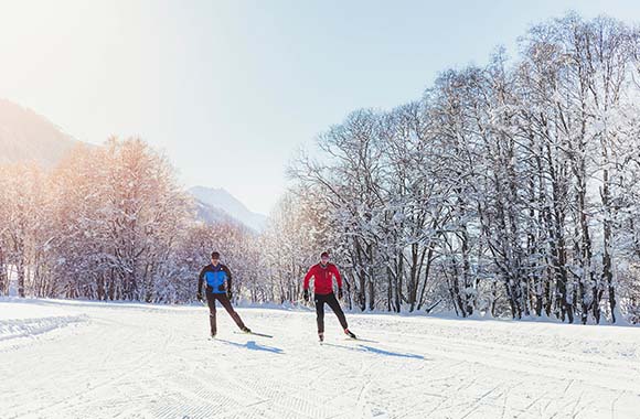 Zwei Langläufer vor verschneiten Bäumen. Zwei Langläufer vor verschneiten Bäumen.