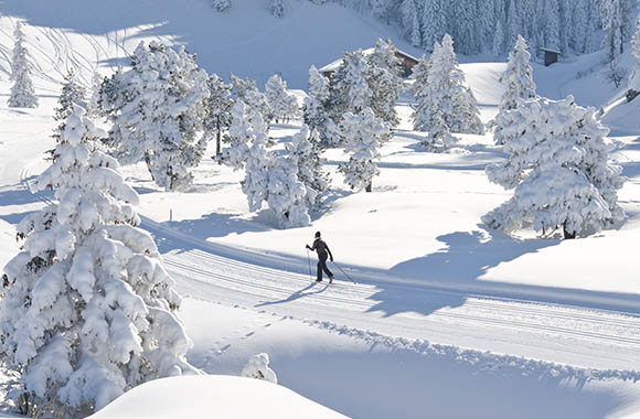 Langläufer in Winterlandschaft. Langläufer in Winterlandschaft.