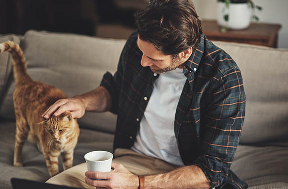 Katze als Haustier – Katzen sollten sich in der Wohnung frei bewegen können. Katze als Haustier – Katzen sollten sich in der Wohnung frei bewegen können.