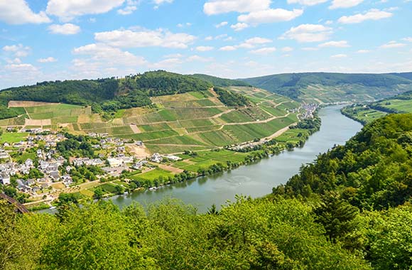 Moselsteig wandern – Blick auf die Mosel in der Nähe von Schloss Marienburg. Moselsteig wandern – Blick auf die Mosel in der Nähe von Schloss Marienburg.