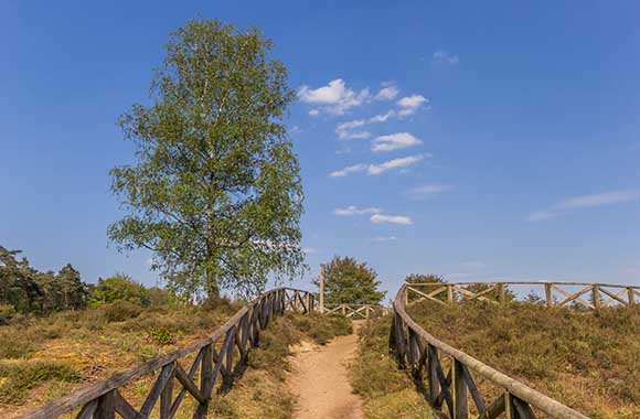 Fietsen op de Lemelerberg. Fietsen op de Lemelerberg.