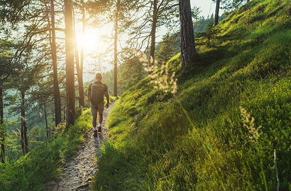 Verhalten im Wald – Mann wandert auf einem Waldweg. Verhalten im Wald – Mann wandert auf einem Waldweg.