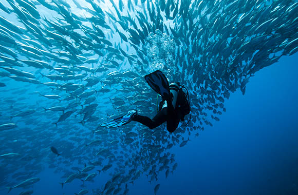 Snorkelen en duiken