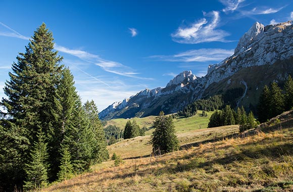 Der Alpenpanoramaweg – ein Blick auf die Schwägalp. Der Alpenpanoramaweg – ein Blick auf die Schwägalp.