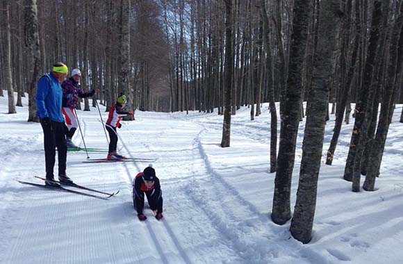 Sciare con bambini: bambini scivolano su una pista di fondo. Sciare con bambini: bambini scivolano su una pista di fondo.