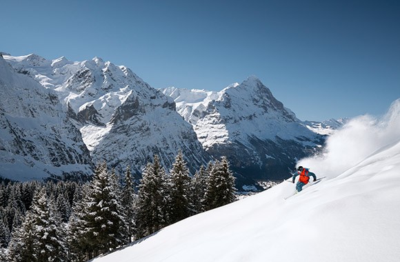 Skifahrer vor Bergpanorama.