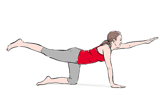 Grafico di una donna che esegue l'esercizio di equilibrio a quattrozampe. Grafico di una donna che esegue l'esercizio di equilibrio a quattrozampe.