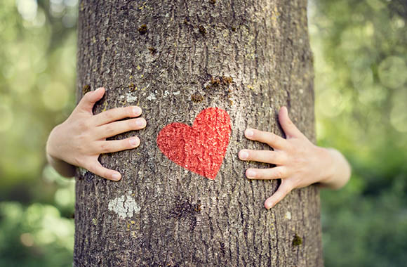 Bescherming van het milieu - Twee handen knuffelen een boomstam