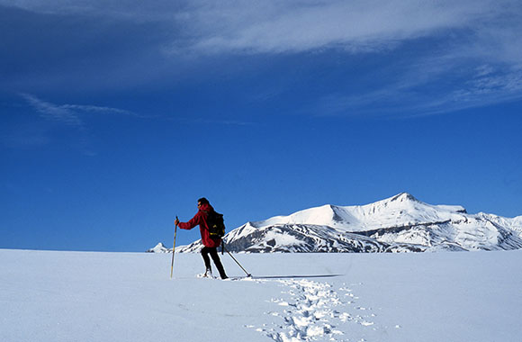 Un skieur nordique à Valberg.