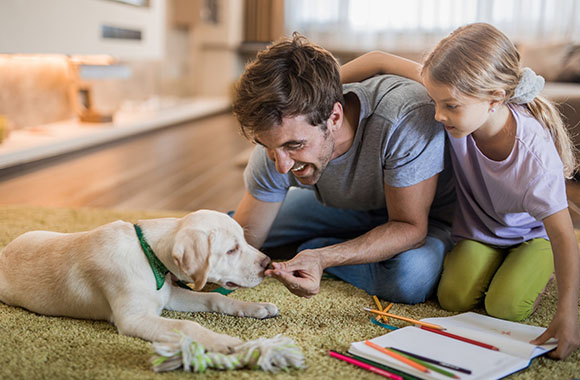 Un parent apprend à ses enfants les bons gestes à adopter avec un animal Un parent apprend à ses enfants les bons gestes à adopter avec un animal