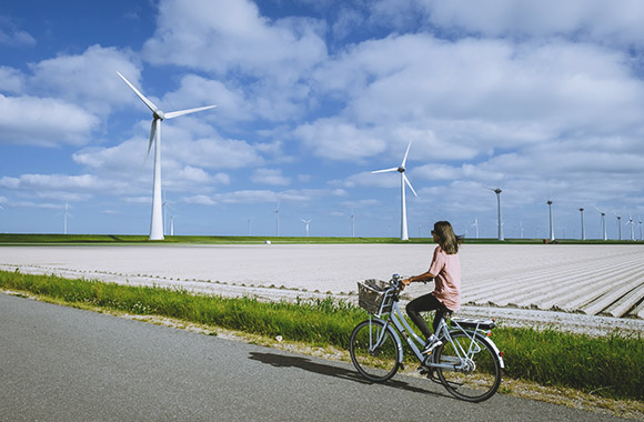Fietstocht door Flevoland