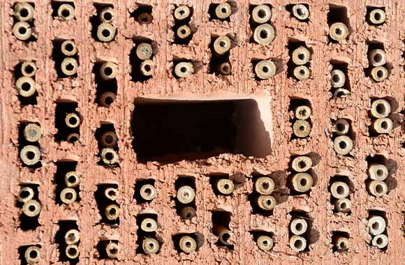 Bouwinstructies insectenhotel – oude holle bakstenen zijn voorzien van holle rietstengels. Bouwinstructies insectenhotel – oude holle bakstenen zijn voorzien van holle rietstengels.