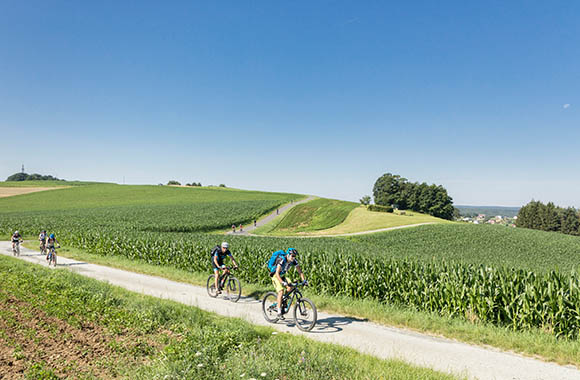 Radwege Burgenland: Fahrradfahrer fahren durch die hügelige Landschaft des Burgenlands. Radwege Burgenland: Fahrradfahrer fahren durch die hügelige Landschaft des Burgenlands.