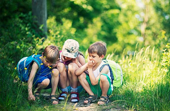 Drei Kinder beobachten Insekten auf dem Waldboden. Drei Kinder beobachten Insekten auf dem Waldboden.