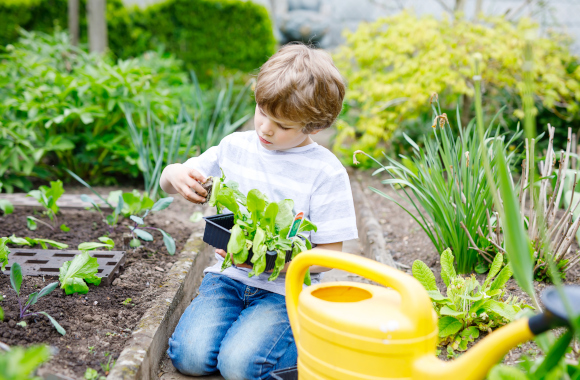 Kindvriendelijk tuinieren: kind plant slaplantjes in het bed.