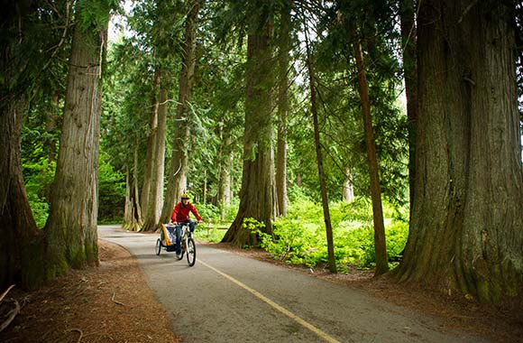 Vater unternimmt mit seinem Kind eine Radtour durch den Wald.