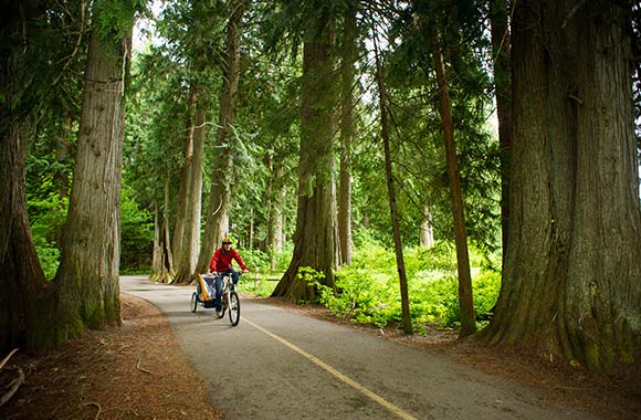 Kinderen meenemen op de fiets