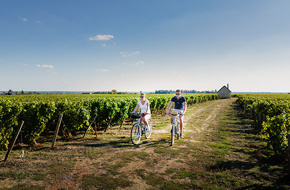 La Loire à vélo