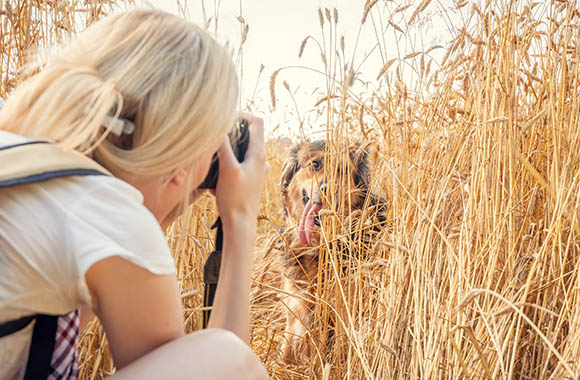 Animal photography: Woman taking a photo of her dog in the field.