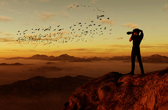 Photographing animals: Man photographing a flock of birds at sunset.
