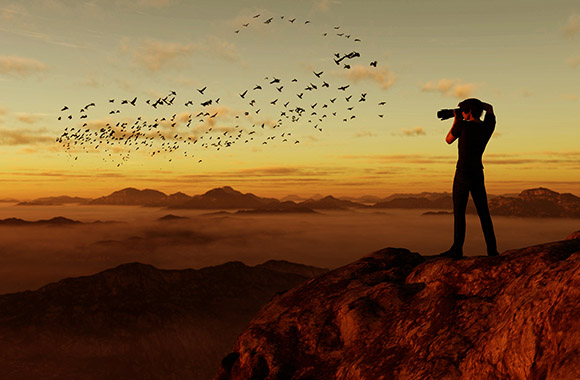 Dieren fotograferen - man fotografeert een zwerm vogels bij zonsondergang. Dieren fotograferen - man fotografeert een zwerm vogels bij zonsondergang.