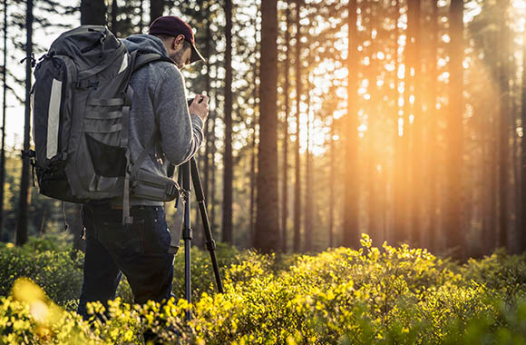 Landscape photography: A man shooting a photo of the forest with a tripod.