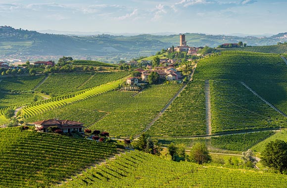 Cicloturismo Piemonte: vista sul paese di Barbaresco. Cicloturismo Piemonte: vista sul paese di Barbaresco.