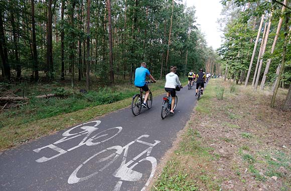Spora część Wiślanej Trasy Rowerowej wiedzie przez tereny porośnięte lasem. Spora część Wiślanej Trasy Rowerowej wiedzie przez tereny porośnięte lasem.