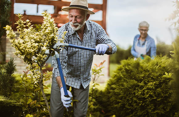 Een tuinman draagt beschermende handschoenen tijdens het snoeien van een jonge boom.