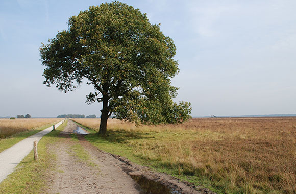 Fietsen in Drenthe