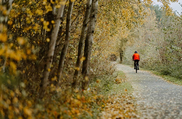 Kujawsko-pomorskie – najpiękniejsze trasy rowerowe