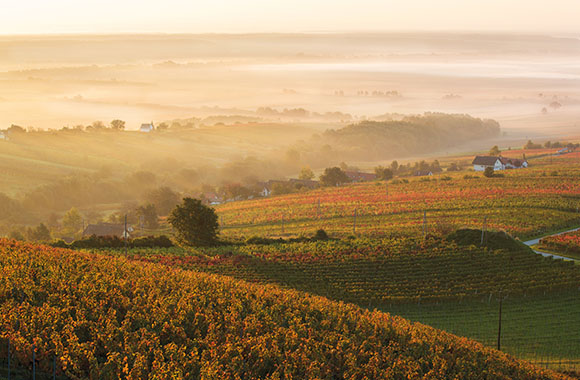 Fahrradurlaub in Burgenland