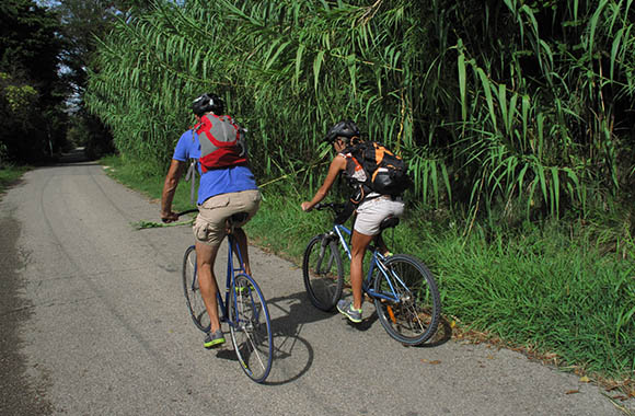 La Provence à vélo