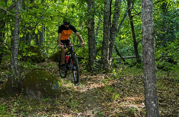 Ruta BTT por un bosque del Valle del Jerte. Ruta BTT por un bosque del Valle del Jerte.