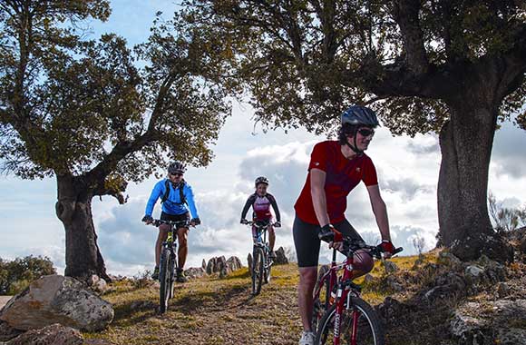 Un grupo de ciclistas recorren un tramo de la Vía de la Plata. Un grupo de ciclistas recorren un tramo de la Vía de la Plata.