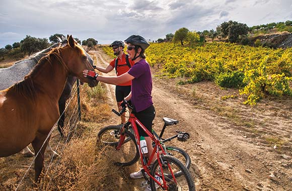 Dos ciclistas recorriendo la Vía de la Plata. Dos ciclistas recorriendo la Vía de la Plata.
