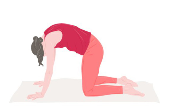 A woman makes a cat pose. A woman makes a cat pose.