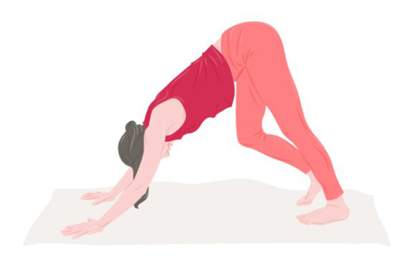 Woman performing the Asana Downward-facing Dog. Woman performing the Asana Downward-facing Dog.