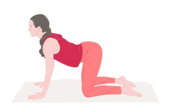 A woman makes a cow pose. A woman makes a cow pose.