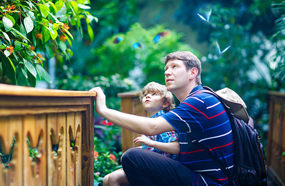 Excursiebestemmingen met kinderen: vader en zoon in de botanische tuin.