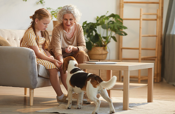 Adopter un chien adulte et l’acclimater au foyer : une grand-mère et sa petite-fille caressent le chien.