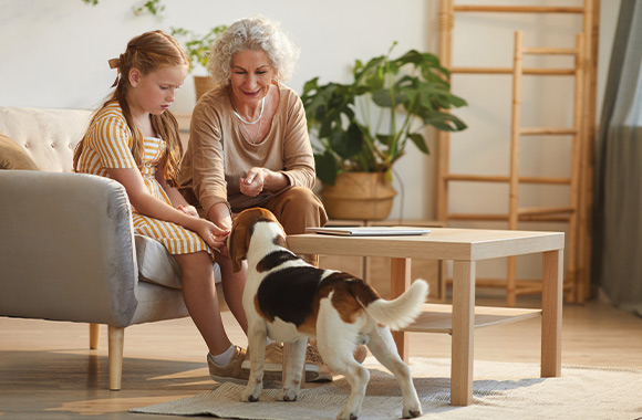 Erwachsenen Hund eingewöhnen und Bindung stärken: Großmutter und Enkelin streicheln den Hund. Erwachsenen Hund eingewöhnen und Bindung stärken: Großmutter und Enkelin streicheln den Hund.