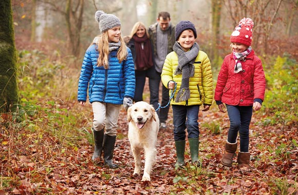 Familienfreundliche Hunde: Eltern und Kinder bei einem Spaziergang mit dem Familienhund. Familienfreundliche Hunde: Eltern und Kinder bei einem Spaziergang mit dem Familienhund.