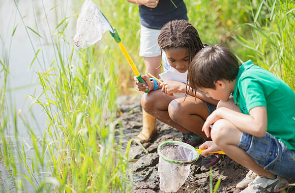 Obóz survivalowy – dzieci łowią żaby w sieć na brzegu rzeki.